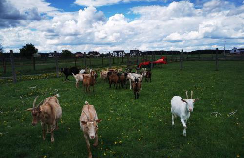 Apartament od Kaszuba - Foto 2