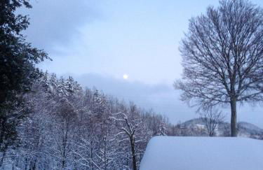 Il Borrino - Foto 33