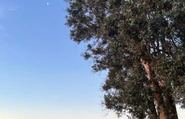 LOVPLAYA Almuñecar Beach Apartment - Photo 22