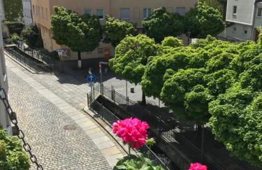 #1 AUGSBURG Altstadtjuwel - Foto 29