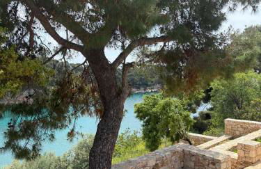 D & A Land luxury house - Photo 13