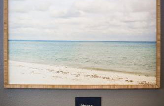 Amachen Cabin - Pet & Family Friendly - Woof Woof! - Foto 97