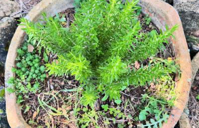 Alcarria , Casa del Agua - Foto 36