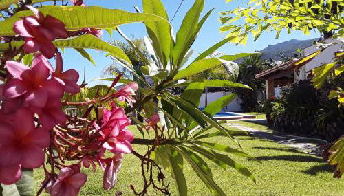 La Finca III - Foto 5, Garden, Garden view