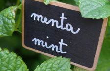 Borgo Vico - Foto 31