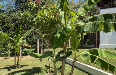 Beach Front Exclusive Villa with Pool - Foto 5