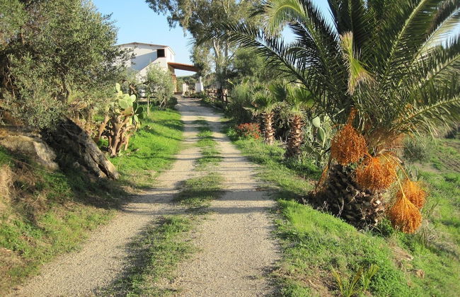 L Agave e la Palma Nana - Foto 15