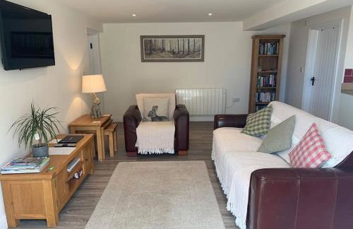 The Granary at Pentregaer Ucha, tennis court & lake. - Foto 17