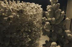 Haus Schneider - Photo 13