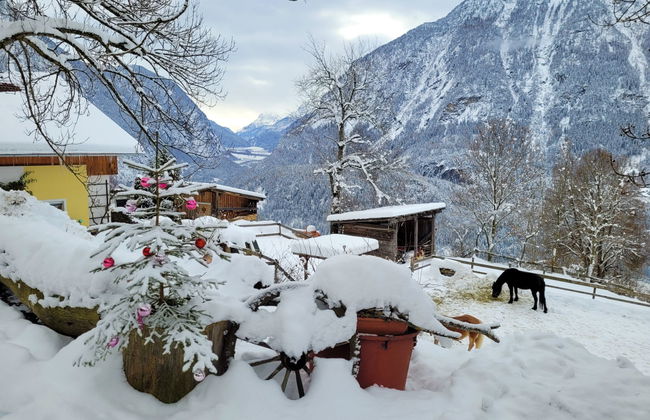 Ferienwohnung Plattner - Foto 76