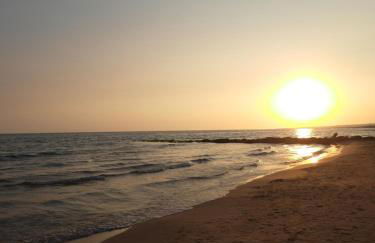 Ronna Vannina - Foto 3