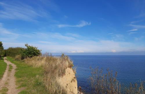 Rosmarinchen - Foto 15