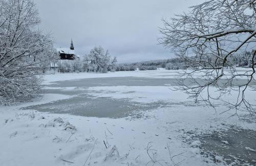 Ferienwohnung Waldblick - Foto 11