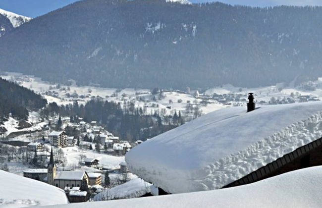 Tio Pepe OG - Foto 28