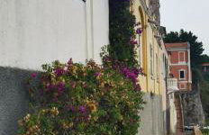 Casa Eden - Foto 51