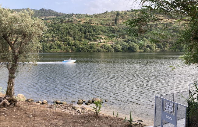 Impeccable 5 Bed House in Santa Cruz do Douro - Foto 42