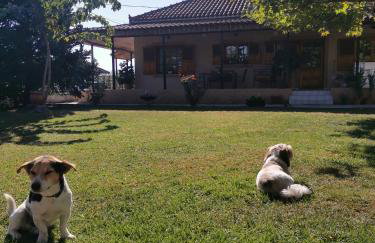 Σπίτι με κήπο στους Γόμφους Τρικάλων - Foto 8