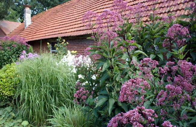 Majestic Apartment in Westerstede - Foto 24