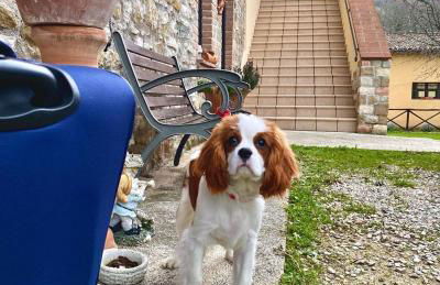 Domus Laetitiae Santa Croce - Foto 24