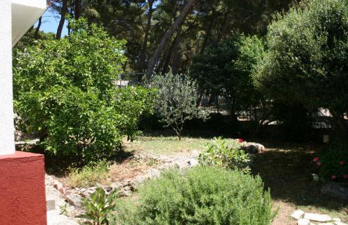 Apartments by the sea Zaostrog, Makarska - 6799 - Foto 10