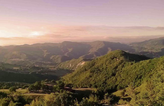 Pretty Farmhouse With Pool - Photo 40