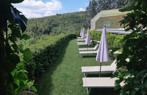 Bosco Della Spina - Foto 8