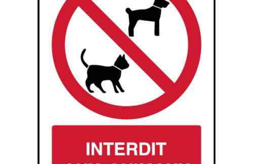 Le Mazagran - Foto 44