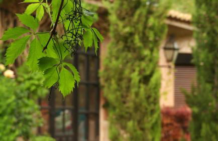 Casa rural El Pitañar - Foto 53