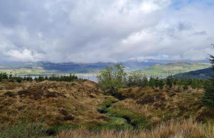 Thistle House Guest House - Foto 73