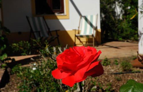 Vale do Guizo: Casa Poente on the contryside, close by the sea. - Photo 31