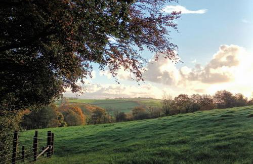 Rural Farm Stay with 6 cottages, 4 miles to Barnstaple, Pet friendly, Daily animal experiences, Outdoor heated pool, Games barn, Free fast WiFi, Free parking - Foto 3