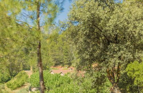 Casas rurales Batan Rio Tus - Foto 8