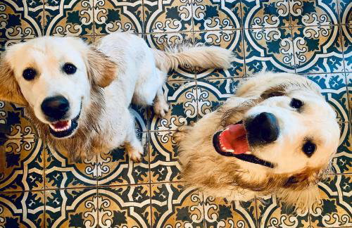 Cisowe Wzgórze - Foto 22