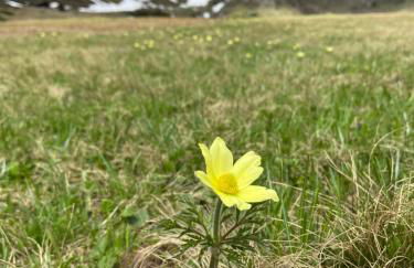 Agriturism Gscnara - Foto 31