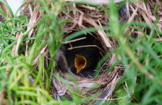 Casa Rural Felipe Luis - Foto 15