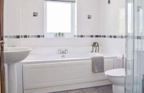 Rhosyn Gwyn - Foto 16