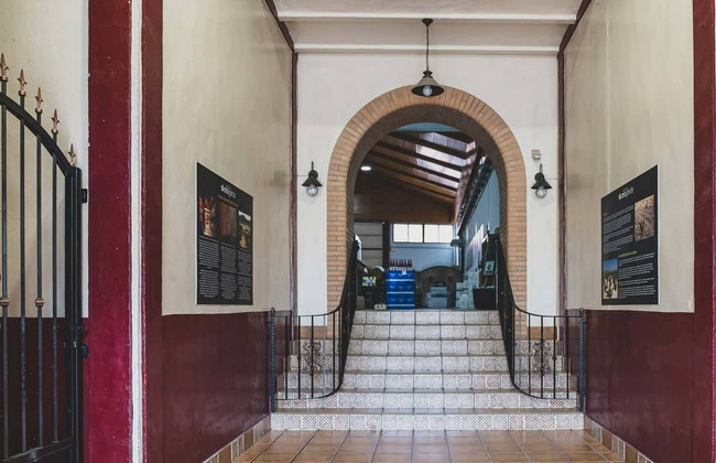 Visita a las bodegas Silvano García - Foto 9