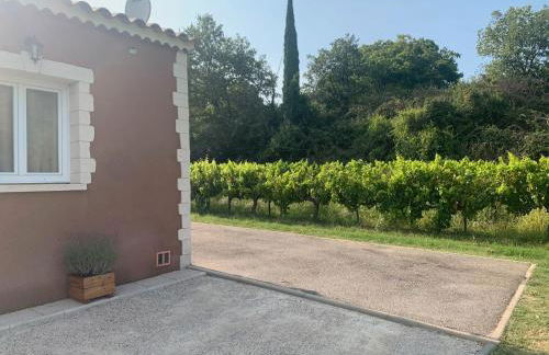 La Petite Maison dans la Vigne - Photo 11