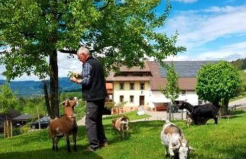 Ferienwohnungen Maierhof Oberried - Foto 9