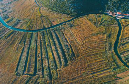 Apartman Oaza - Ploče, Croatia - Foto 45