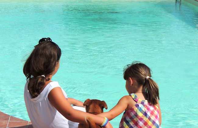 Agriturismo Fratelli Angelucci - Foto 15