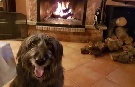 Casas Rurales de Vicorto - Foto 21