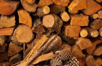 Casa do Parente - Foto 8