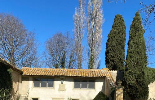 Mazet au pied des Alpilles, avec Piscine & Pétanque - Foto 1