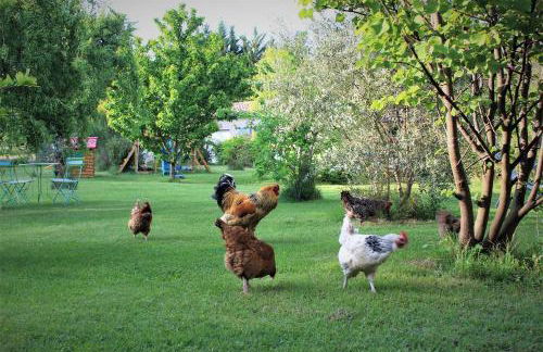 Gites le Pimayon - Foto 77