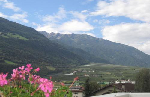 Villa Malus - Foto 11