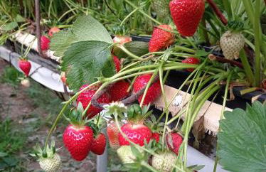 Domaine des Ecoliers - Appartement 123 soleil - Parking - Foto 18