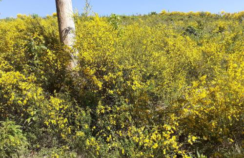 Gîte nature rénové dans les Vosges Saônoises - FR-1-583-459 - Foto 29