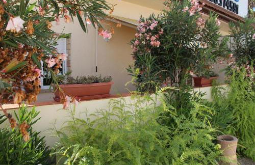 Finca Doña Sofia Maria - Foto 25