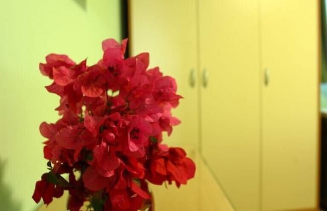 Pile Excellent Location Apartments - Foto 10